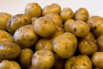 Golden Bites: The Art of Perfectly Roasted Mini Potatoes